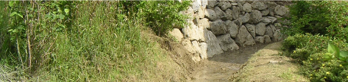 Header-Bachverbau.jpg